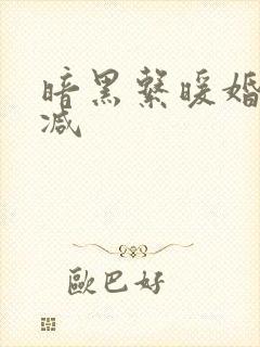 暗黑系暖婚无删减