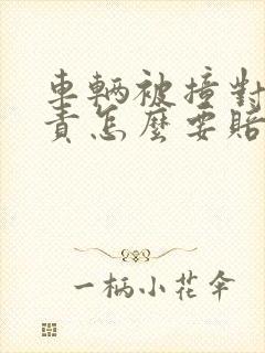车辆被撞对方全责怎么要赔偿