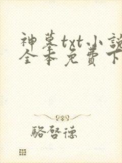 神墓txt小说全本免费下载