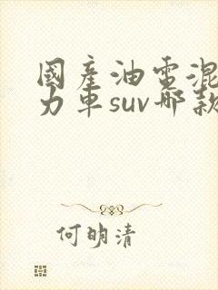 国产油电混合动力车suv哪款最好