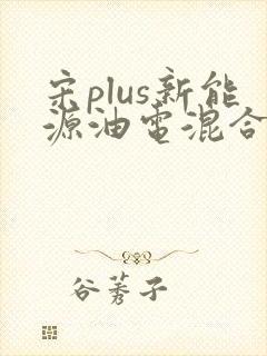 宋plus新能源油电混合