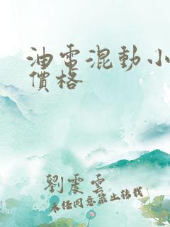 油电混动小货车价格