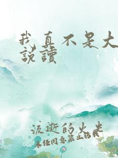 我真不是大佬小说读 我真不是大佬小说读