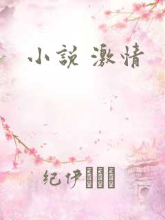 小说 激情