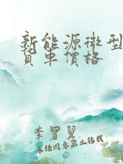 新能源微型电动货车价格