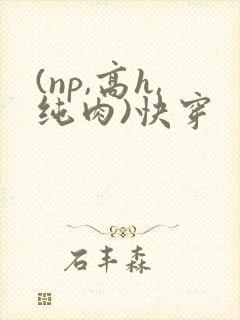 (np,高h,纯肉)快穿