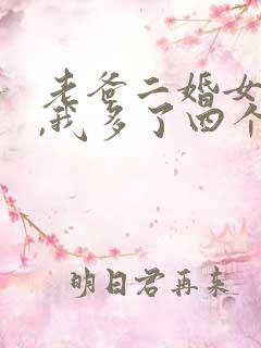老爸二婚女总裁,我多了四个姐姐