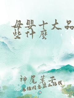 母婴十大品牌有些什么