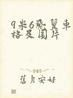 9米6飞翼车价格及图片