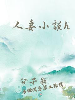 人妻小说h