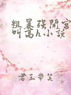 粗暴强开宫口哭叫高h小说