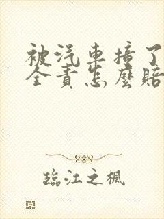 被汽车撞了对方全责怎么赔偿
