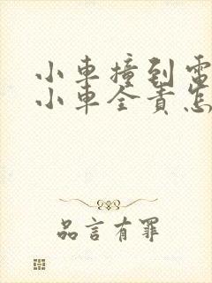 小车撞到电动车小车全责怎样理赔