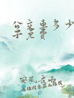 公交车多少岁孩子免费
