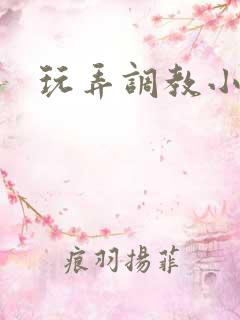 玩弄调教小说