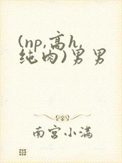 (np,高h,纯肉)男男