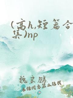 (高h,短篇合集)np