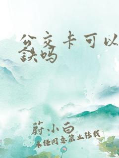 公交卡可以坐地铁吗