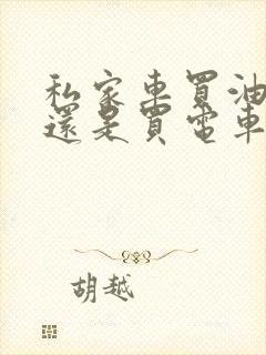 私家车买油车好还是买电车好