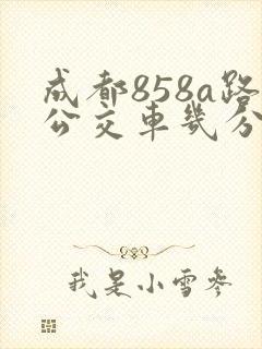 成都858a路公交车几分钟一趟 成都858a路公交车几分钟一趟