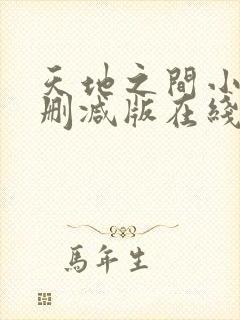 天地之间小说无删减版在线阅读