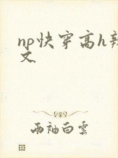 np快穿高h辣文