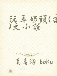玩弄奶头(高h)文小说