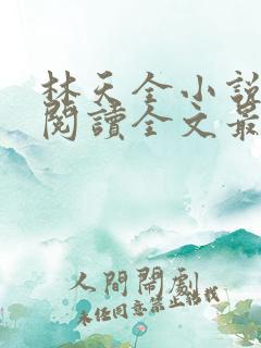 林天全小说免费阅读全文最新章节