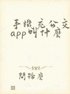 手机充公交卡的app叫什么