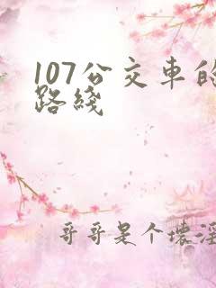 107公交车的路线