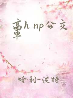 高h np公交车