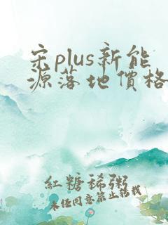 宋plus新能源落地价格