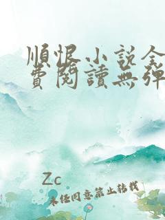 顺恨小说全文免费阅读无弹窗