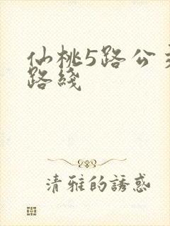 仙桃5路公交车路线