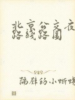 北京公交夜14路线路图 北京公交夜14路线路图