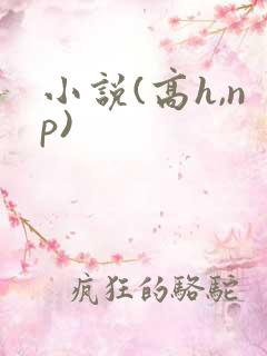 小说(高h,np)