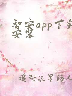 智安app下载安装