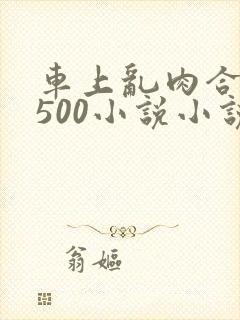 车上乱肉合集乱500小说小说