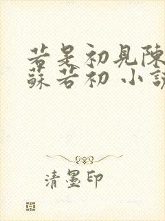 若是初见陈凡,苏若初 小说