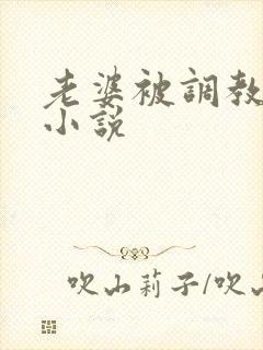 老婆被调教高h小说