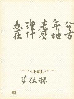 办理老年公交卡在什么地方办