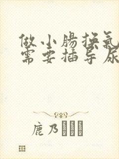 做小肠换气手术需要插导尿管吗
