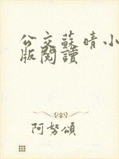 公交苏晴小说正版阅读
