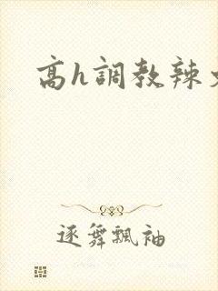 高h调教辣文