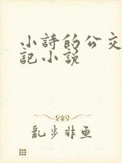 小诗的公交车日记小说