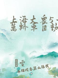 上海大众5一8万轿车自动挡 上海大众5一8万轿车自动挡