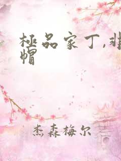 极品家丁,非绿帽