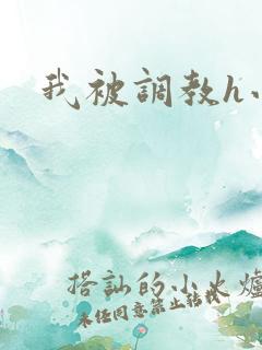 我被调教h小说