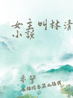 女主叫林清婉的小说