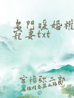 名门暖婚权爷盛宠妻txt